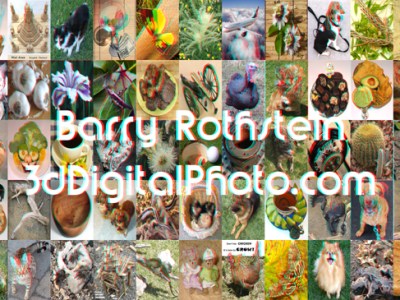 3dDigitalPhoto.com - Maker Faire Los Angeles 2024