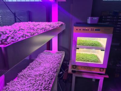 THE FOOD OF THE FUTURE