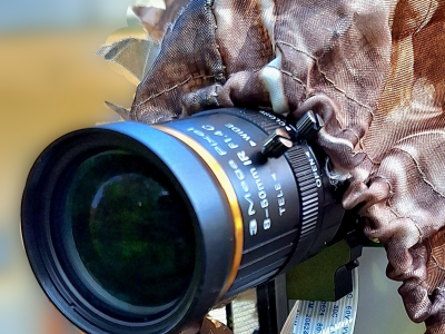 BirdWatch AI - Embedded Bird Watching Solution with TensorFlow - Maker Faire